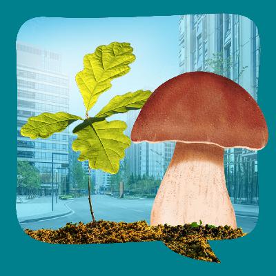 Eiche und Steinpilz | Überlieferung aus Litauen | ab 5 | erzählt von Julia Klein
