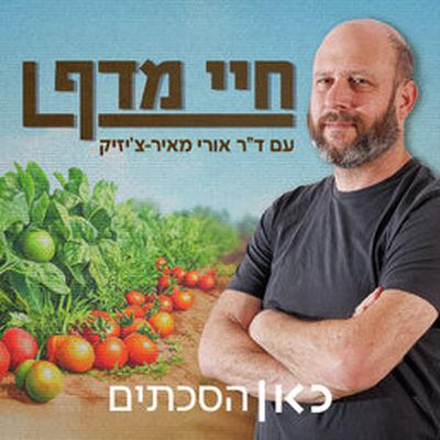 פצצת אנרגיה צהובה