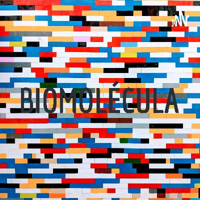 BIOMOLÉCULAS