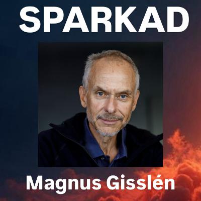 Magnus Gisslén. De sa att han slutade. Han sa att han fick sparken. Magnus Gisslén. De sa att han slutade. Han sa att han fick sparken.