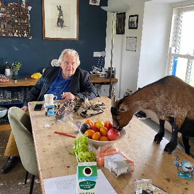 Language, Music, Memory with Writer, Philosopher PATRICK HEALY - Highlights Language, Music, Memory with Writer, Philosopher PATRICK HEALY - Highlights