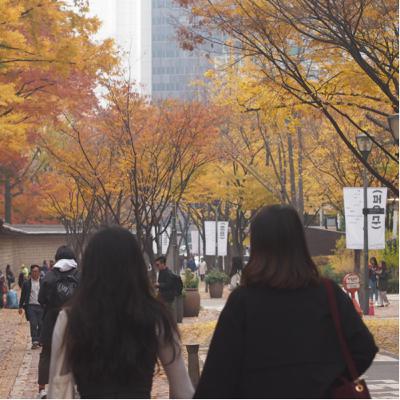 사회 초년생 월급쟁이들의 자본주의 적응기