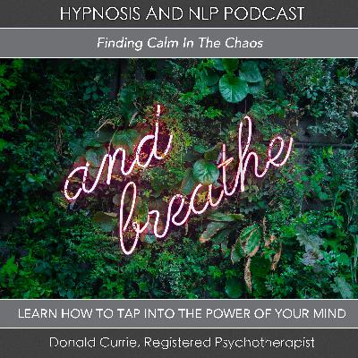 Finding Calm in Chaos