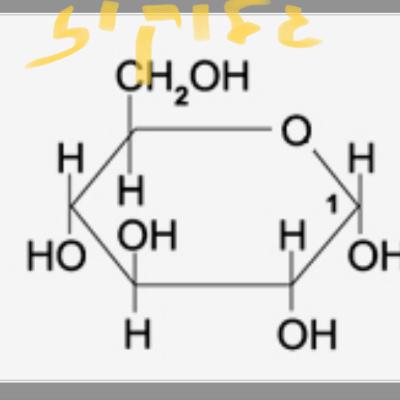 פחמימות - סוכרים