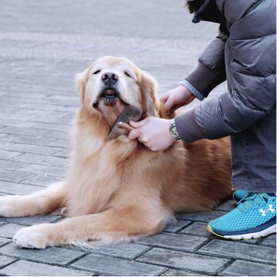 ワークの問いかけコロナウイルスが怖い