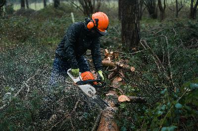 Lessons from the Woods - Changes