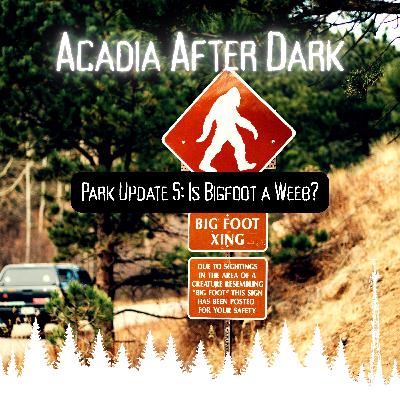 Acadia After Dark Park Update 5