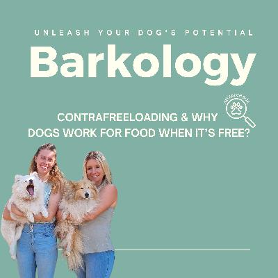 Research Bite: Contrafreeloading & Why Dogs Work for Food When It’s Free?