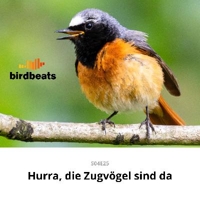 Hurra, die Zugvögel sind da Hurra, die Zugvögel sind da