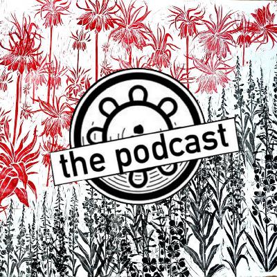 Musa Okwonga on brexit, fear and our future Musa Okwonga on brexit, fear and our future