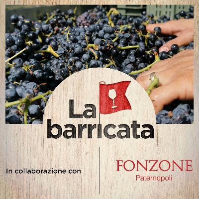 La vendemmia 2025 sarà buona, ma abbondante (con Riccardo Cotarella) - La barricata 22