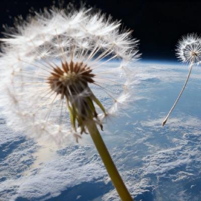 Ep532_B: Tormenta Solar; Microbios Espaciales; Dientes de León; Agujeros Negros