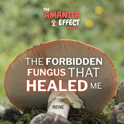 The Forbidden Fungus That HEALED ME
