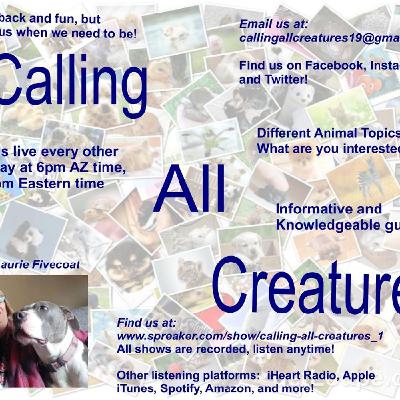 Calling All Creatures Presents Roses to Rainbow - Podcast Canceled