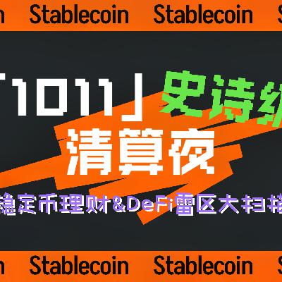 31 | 「1011」史诗级清算夜:稳定币理财和 DeFi 雷区大扫描 31 | 「1011」史诗级清算夜:稳定币理财和 DeFi 雷区大扫描