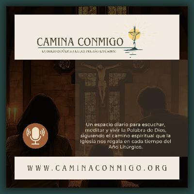 Episodio 72- Deja que Jesús toque tus heridas ( V semana del Tiempo Ordinario)