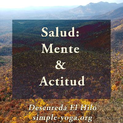 Tejiendo el Yoga Sutra: Salud, mente en calma, actitud alegre Tejiendo el Yoga Sutra: Salud, mente en calma, actitud alegre