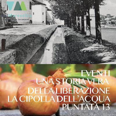 E_13 Una storia vera della Liberazione, la cipolla dell’acqua, le parole Romagnole e gli eventi.