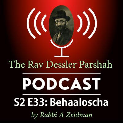 Beha'aloscha: Humble and the Greatest