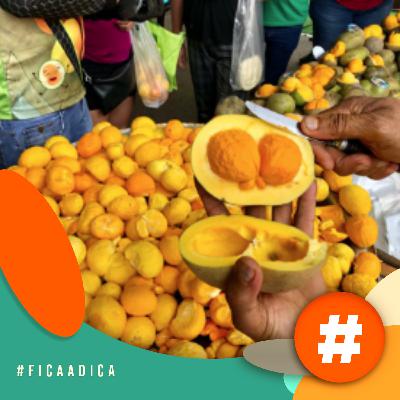 Fica a Dica - Quer um festival diferente para o mês de janeiro? Confira o Festival de Pequi, nos dias 17 e 18/01 Fica a Dica - Quer um festival diferente para o mês de janeiro? Confira o Festival de Pequi, nos dias 17 e 18/01