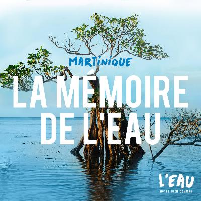 La mémoire de l'eau en Martinique - 5/8 La mémoire de l'eau en Martinique - 5/8