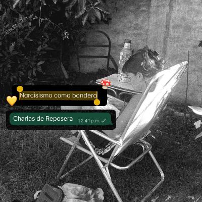 CAP 12 - Narcisismo como Bandera