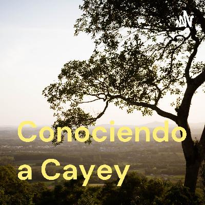 Ramon Frade datos biograficos