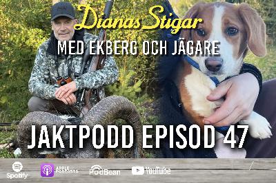 På Dianas Stigar med Ekberg och Jägare - Episod 47 - Gubbkrämpor, köttfärssås, drevrar, vildsvin och mufflon