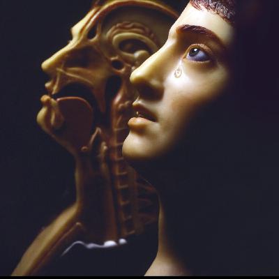 Nova Y Va : Aux origines du genre et du racisme, au Musée de l'Homme à Paris Nova Y Va : Aux origines du genre et du racisme, au Musée de l'Homme à Paris