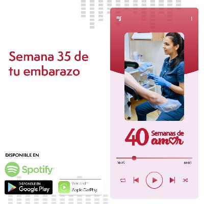 40 Semanas de Amor - Semana 35 de Embarazo