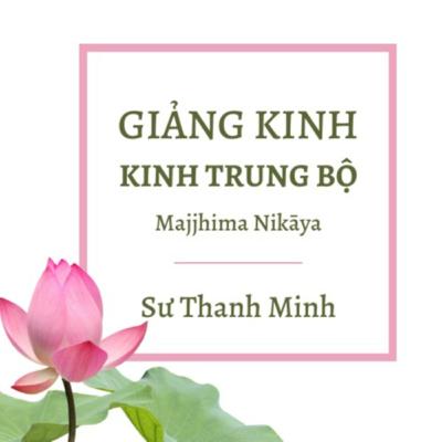 Giảng Kinh Trung Bộ - Số 28: ĐẠI KINH VÍ DỤ DẤU CHÂN VOI