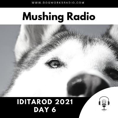 Iditarod 2021 Daily Coverage | Day 6