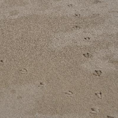 #1 How to Manage Your Digital Footprint