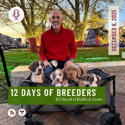 12 Days of Breeders 2025 - #6 - Bill Wyatt of DubDub Danes 12 Days of Breeders 2025 - #6 - Bill Wyatt of DubDub Danes
