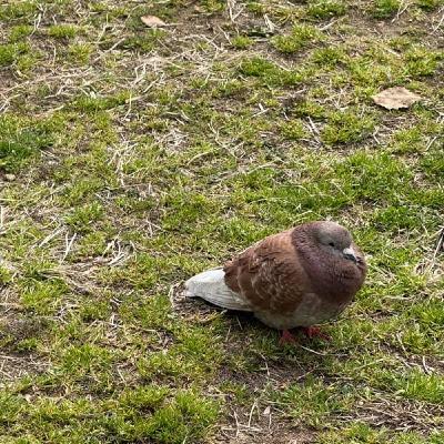 この数日の労いをしようとしたつもりがやっぱりArtflowになった日