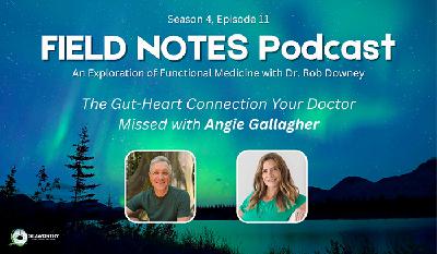 The Gut–Heart Connection Your Doctor Missed