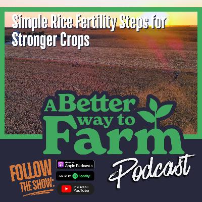 352: Simple Rice Fertility Steps for Stronger Crops 352: Simple Rice Fertility Steps for Stronger Crops