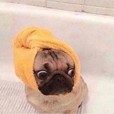 The Importance of Nutrition