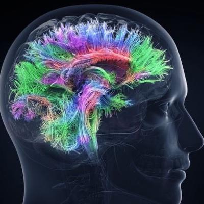 Neuropsicologia das Psicoses