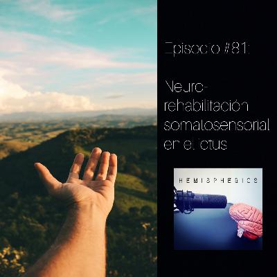 #81: Neurorrehabilitación somatosensorial en el ictus