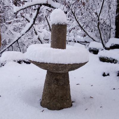 Ceremonia fin de año