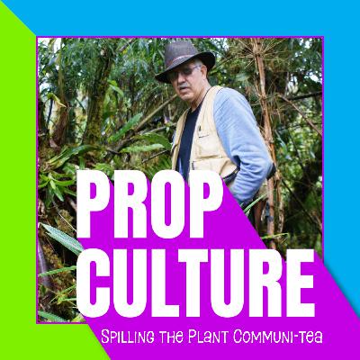 S02E01 | Interview with Dr. Tom Croat (Part 1)