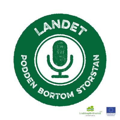 #194 Om att leva på gränsen - mellan kommuner, bygder och sunt förnuft