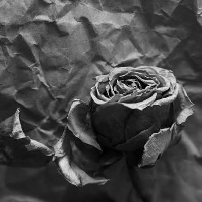 Episode 19: Freckles of Love (Poem)