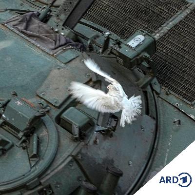 Ukraine-Verhandlungen: Was kann Deutschland tun?