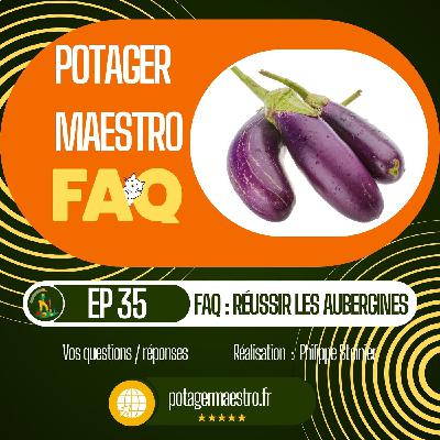 FAQ : 8 questions / réponses au sujet de votre culture d'aubergines
