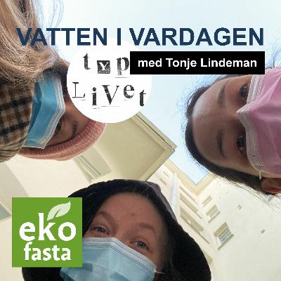 TYPLIVET POD goes Ekofasta 2021