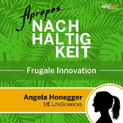 S01 - Folge 05: Frugale Innovation - mit simplen Lösungen mehr erreichen