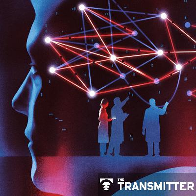 Computational psychiatry needs systems neuroscience
