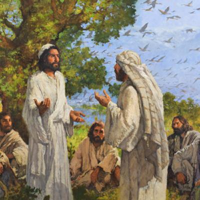 Peter's confession Peter's confession